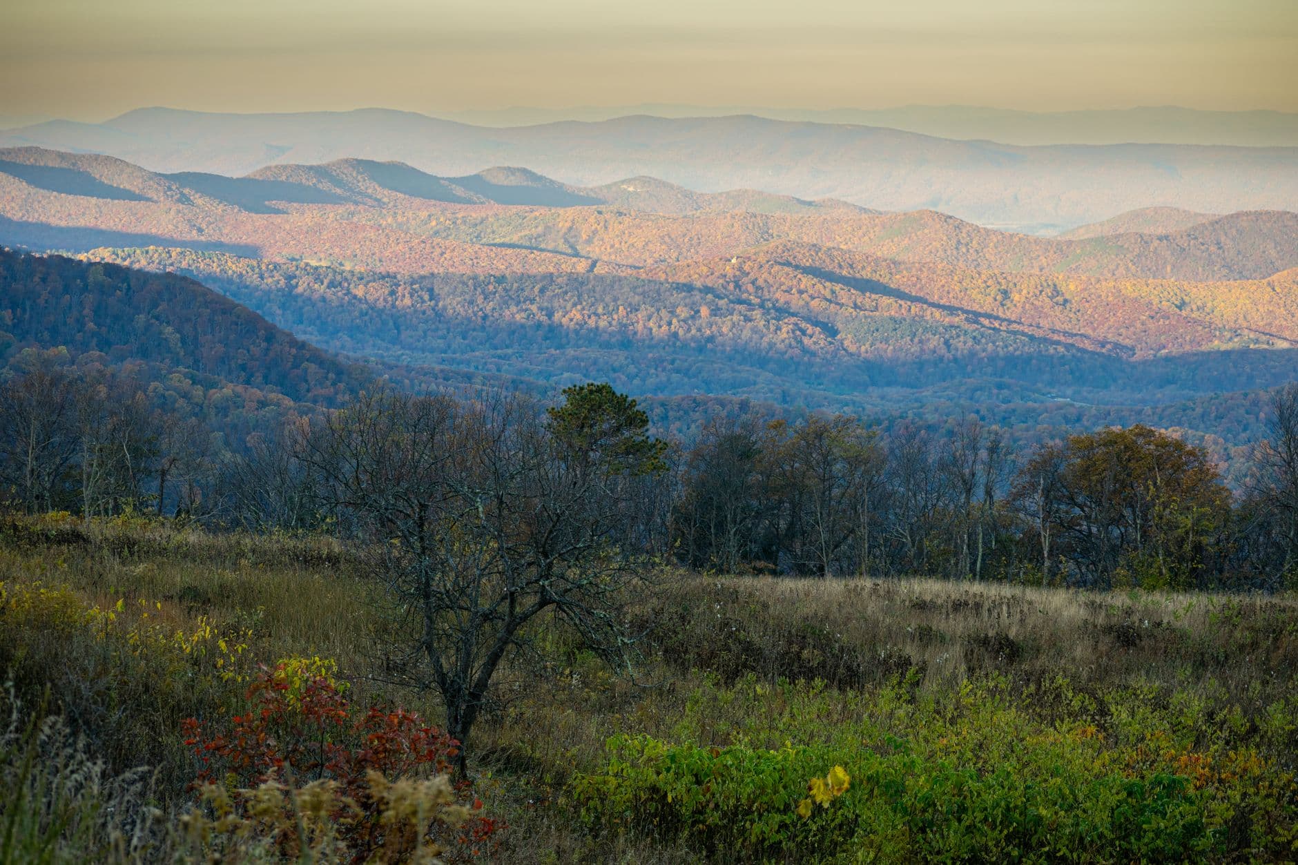 The Blue Ridge Mountains in Virginia in autumn